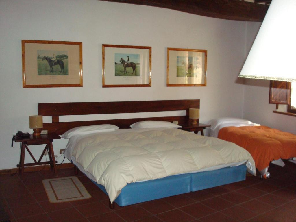 Albergo La Sfinge Chiusi Rum bild